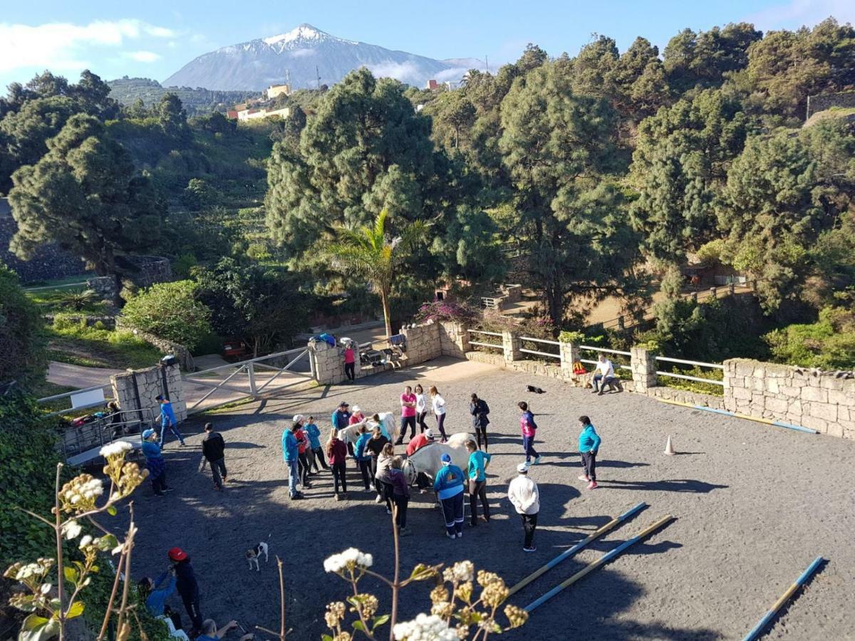 Riendas Vivas La Guancha 외부 사진